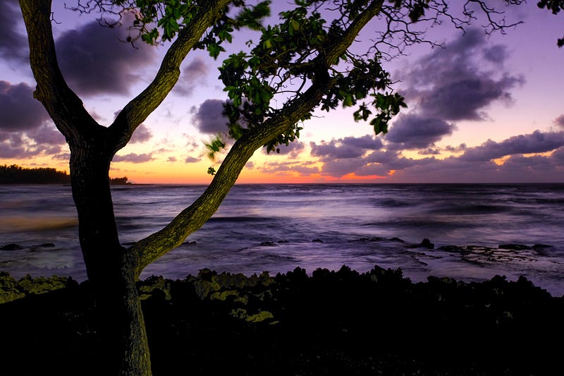 Night sky over Maui