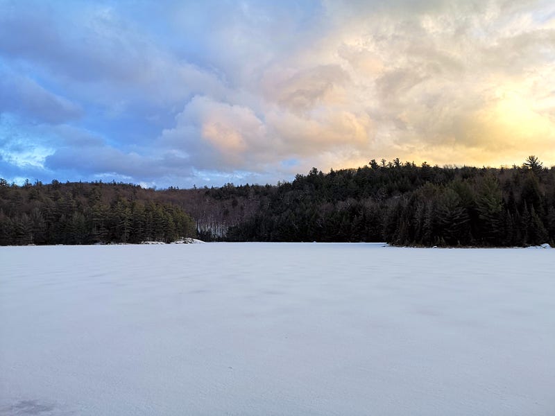 A serene winter landscape under a canopy of trees