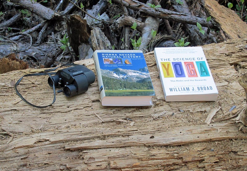 Embracing Nature Among the Sequoias