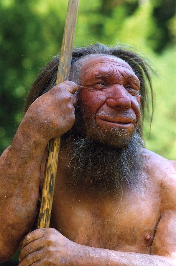 Neanderthal research advancements