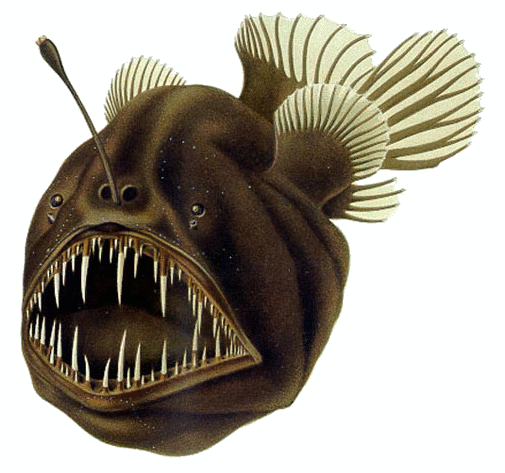 The Anglerfish: Nature's Master of Deception