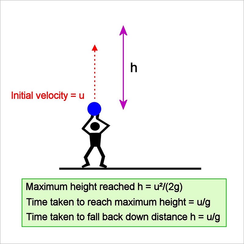 Vertical Projection Dynamics