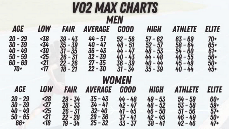 Lifespan indicators and metrics chart