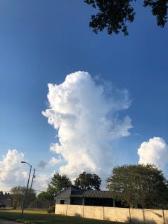 Cumulus clouds in a serene sky