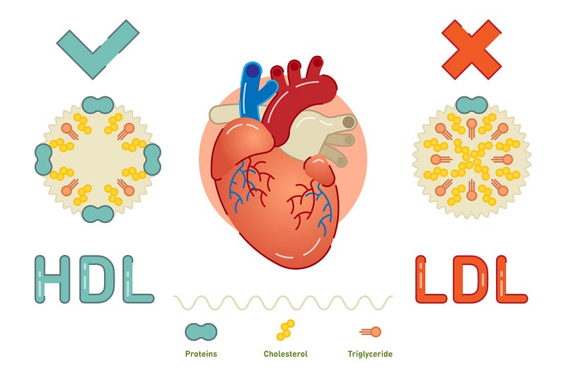 The flawed origins of dietary cholesterol claims