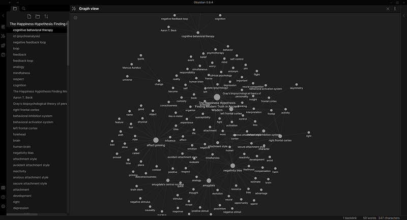 Concept map demonstrating interconnected ideas