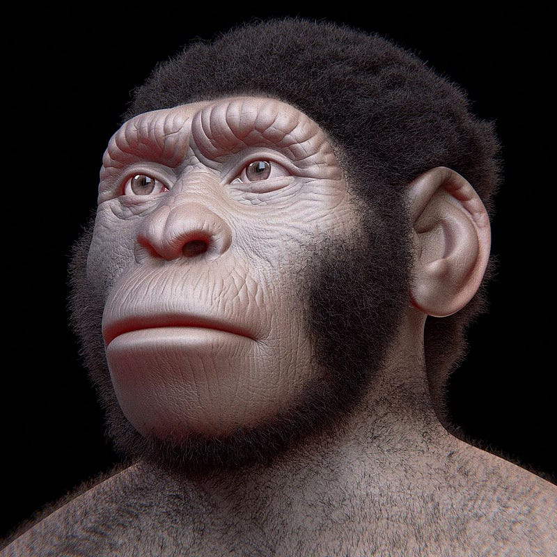 Facial reconstruction of Homo naledi