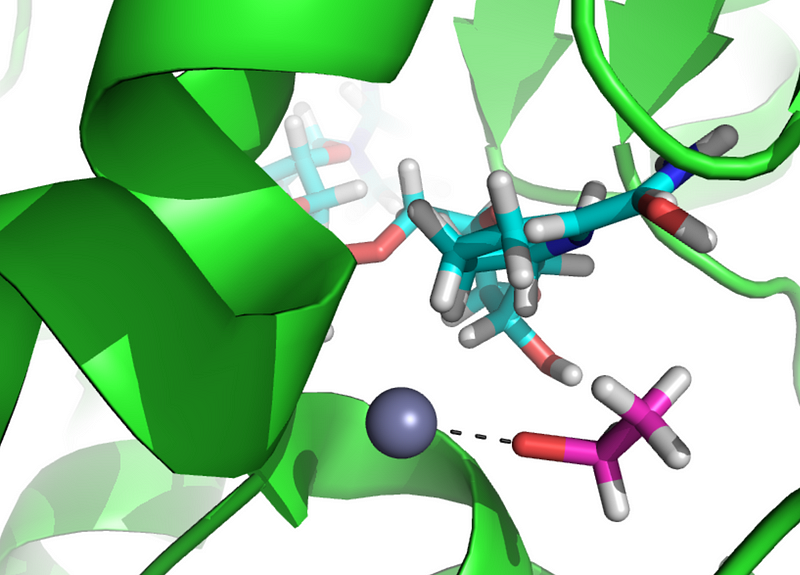 Active site of alcohol dehydrogenase