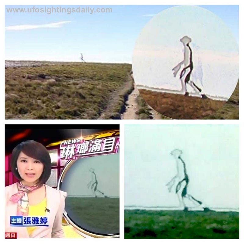 Alleged alien sighting in Taiwan