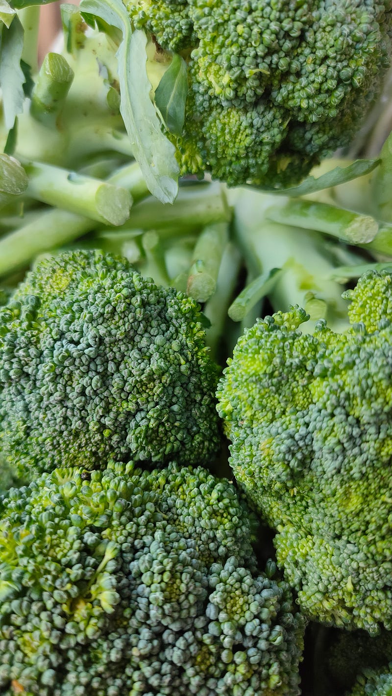 Broccoli Growing in a Garden