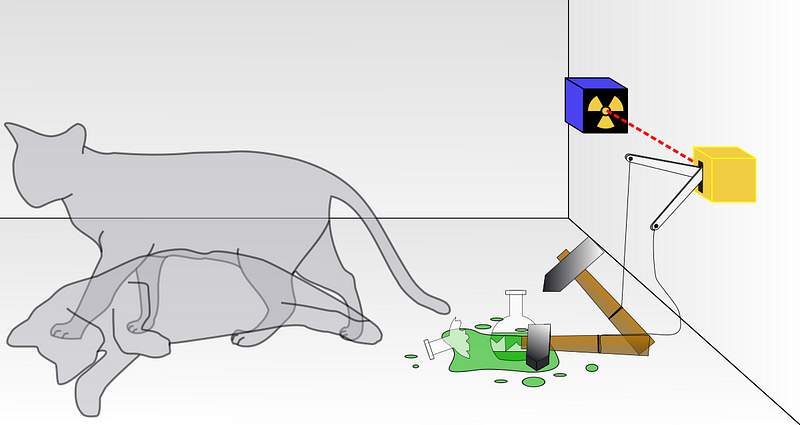 Schrödinger's cat concept illustrating duality