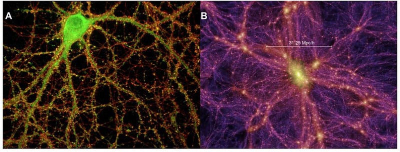 Dark energy and human nervous system visual comparison