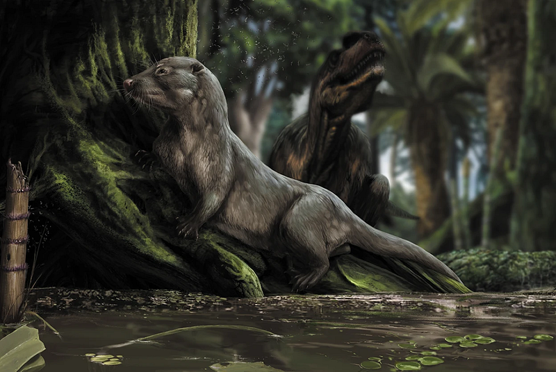 Early mammals in the age of dinosaurs