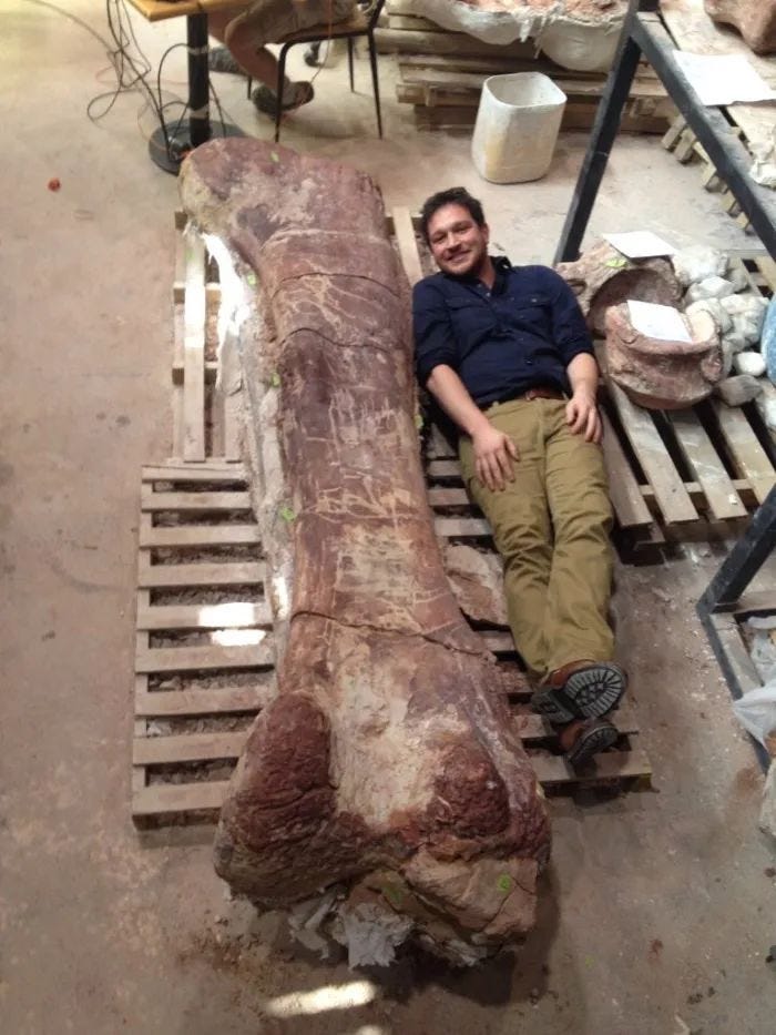 Titanosaurus Patago femur