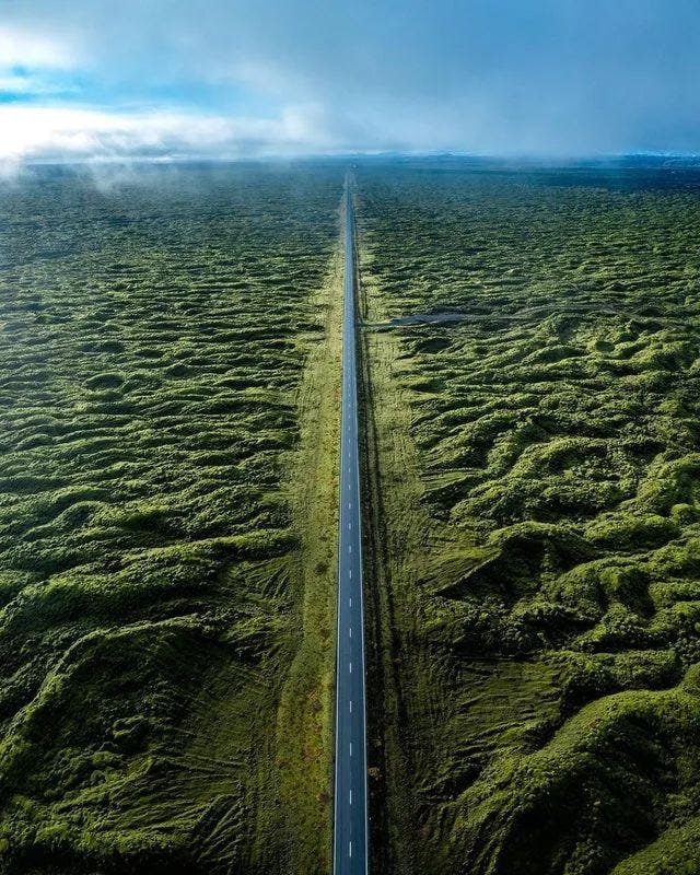 Mossy lava fields in Iceland