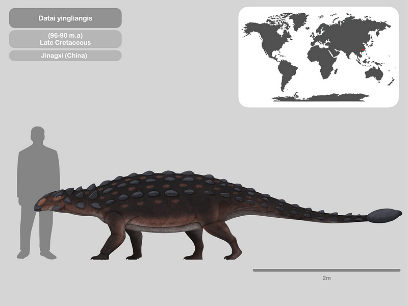 Image of Jingia dongxingensis