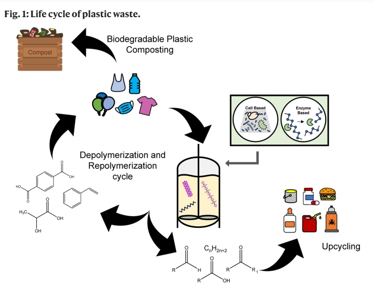 Circular model of plastic waste lifecycle